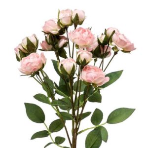 Rose – Mini Pink Spray