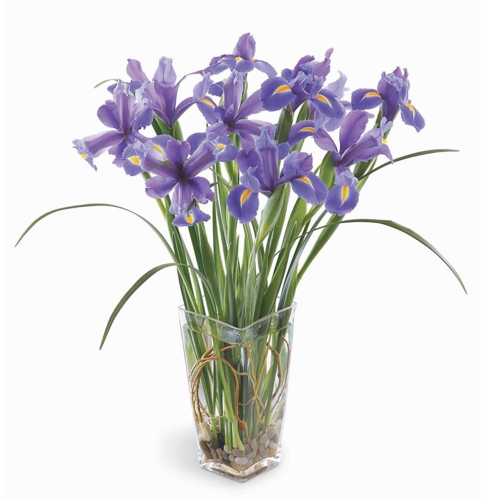 Irises In Vase Petals.Africa