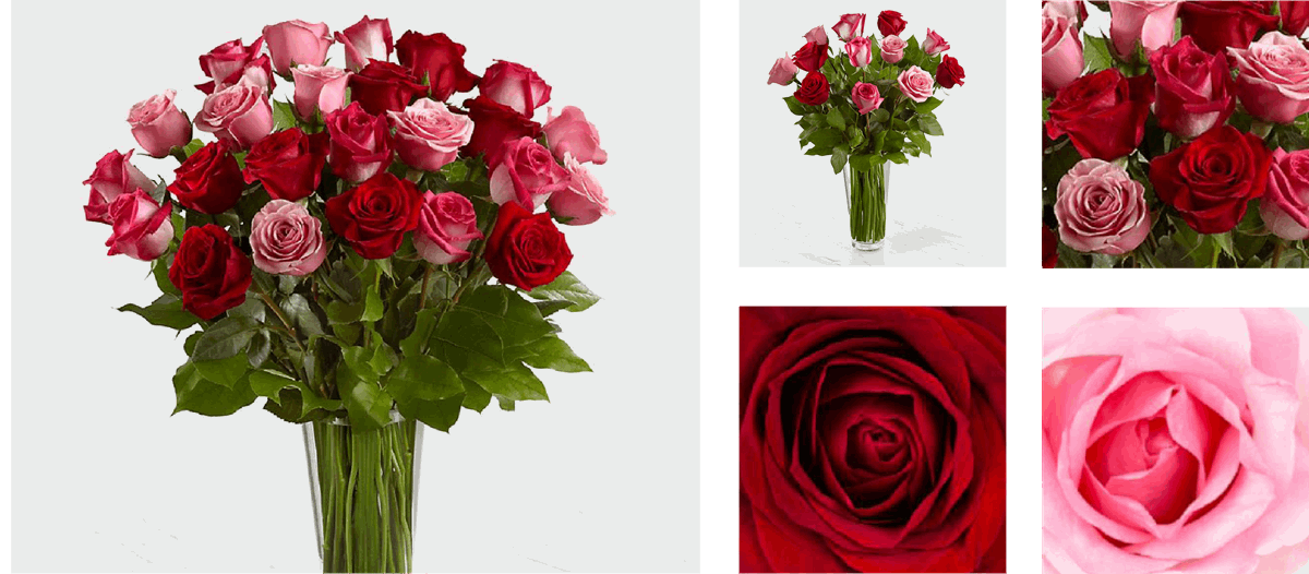 Red & Pink Roses in Vase Petals.Africa